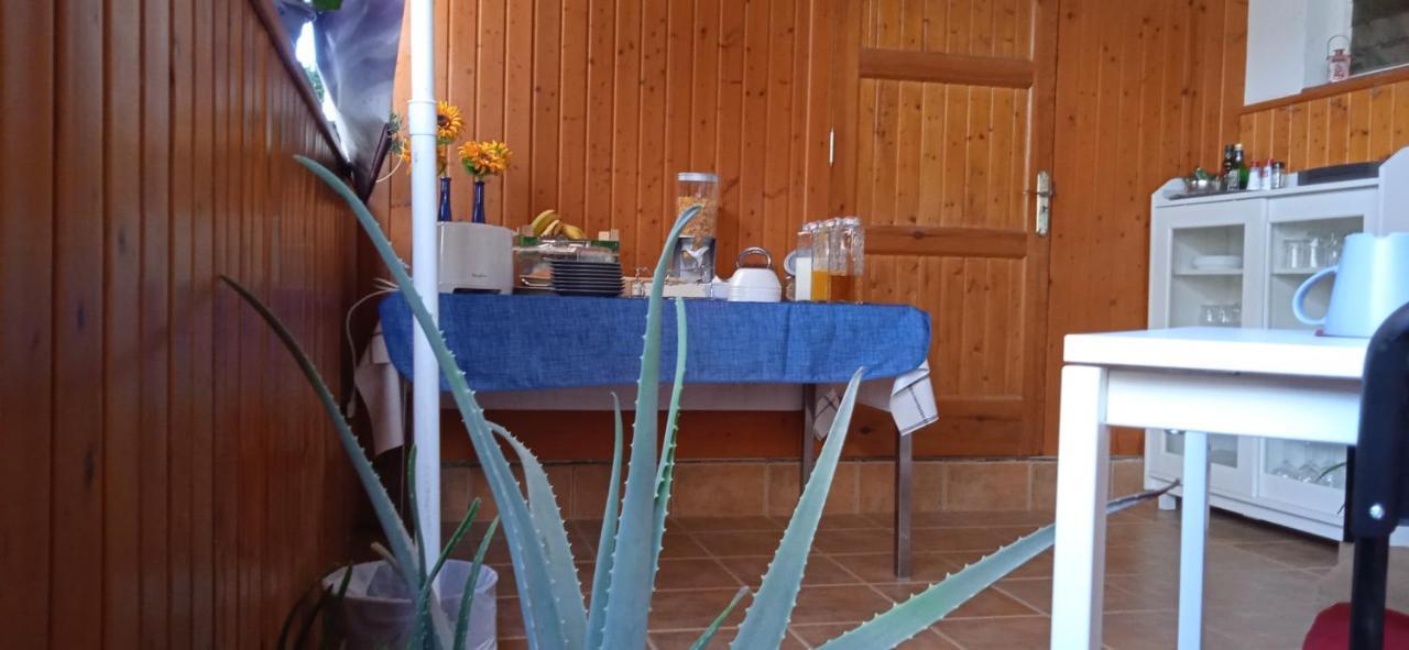 B&B Paraiso Del Sol Maspalomas  Eksteriør bilde